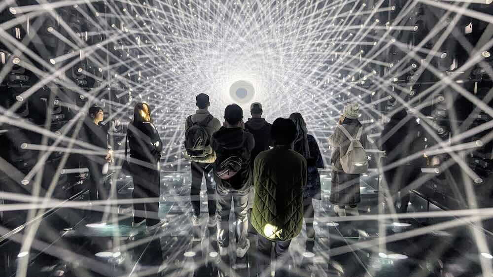 Teamlab Work VANAS | Teamlab Borderless, Where Animation Becomes Reality